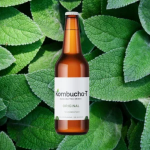 Kombucha-T Original | Profesional